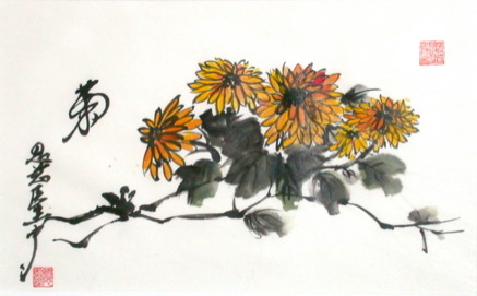 chrysanthemum