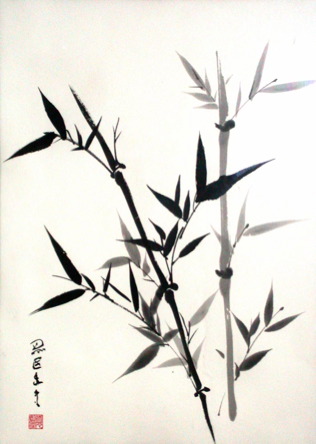 young-bamboo
